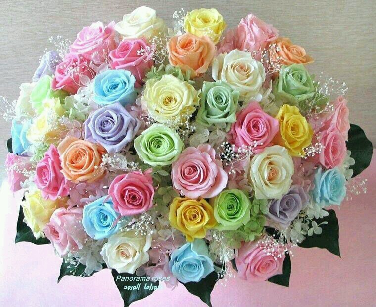 1980Karima's profile picture. 