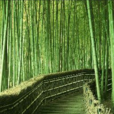 竹の小路(虎垢)@長期休止中