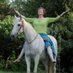 Twitter Profile image of @LBaskfield