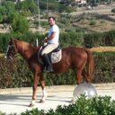 william - @WilliamFalzone - Twitter