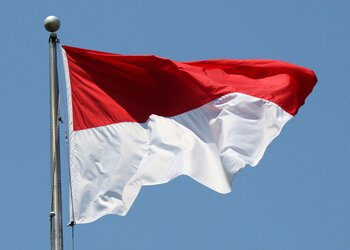 To make it easier for young Indonesians around the world to catch up with what's happening back home and around. Plus, jokes and whatnot.
