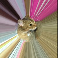 よしのり (@planningmac) 's Twitter Profile