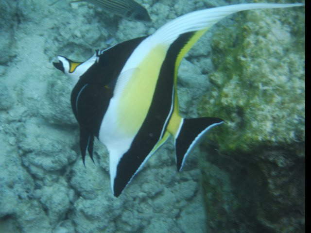 Xenia22572's profile picture. 