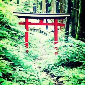 楽しい気分で死にたい気持ちを呟きます。
１日１呟
まいにち修造！の逆バージョン