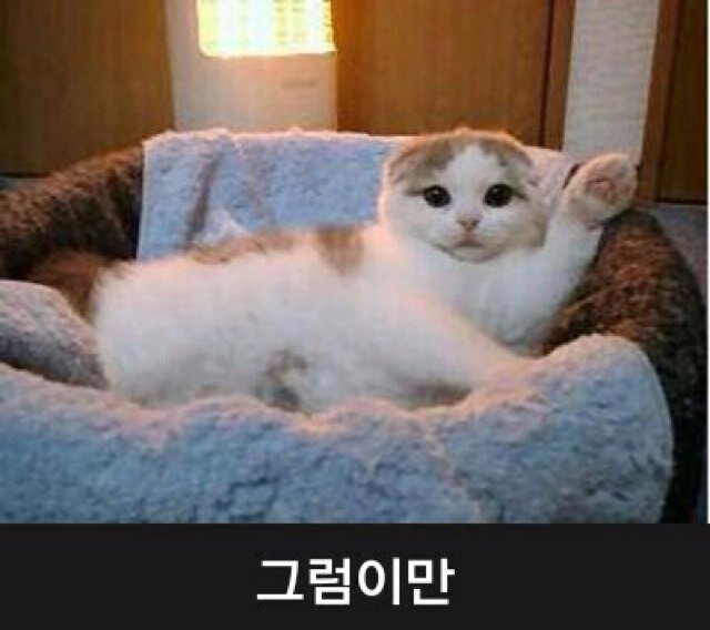 책을 읽고 음악을 듣고