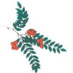 RWGreenLimited's profile picture. Tree Surgeons & Landscapers, providing a high quality professional service covering the South East, London and Home Counties