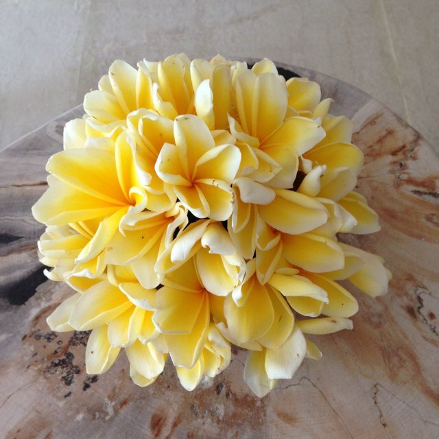 陽菜 Takahiro42 いい感じですね