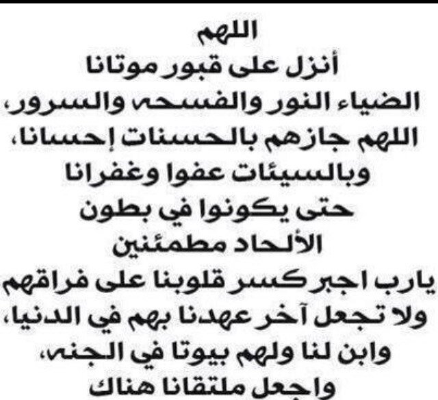 abdulm19 Profile Picture