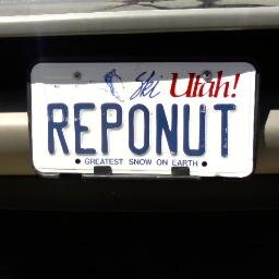 Creator of REPONUT channel on YouTube