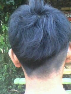 windhafranco's profile picture. 