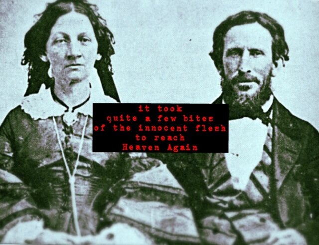 The Downer Duo/ Alex and Kody/ Heaven Again/ Glass Life/ Paper Castle/ Project For The Hopeless
