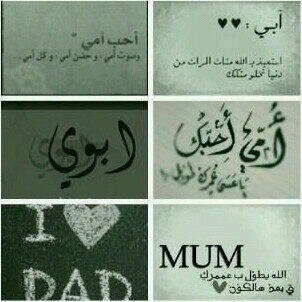 (المدينه المنوره )