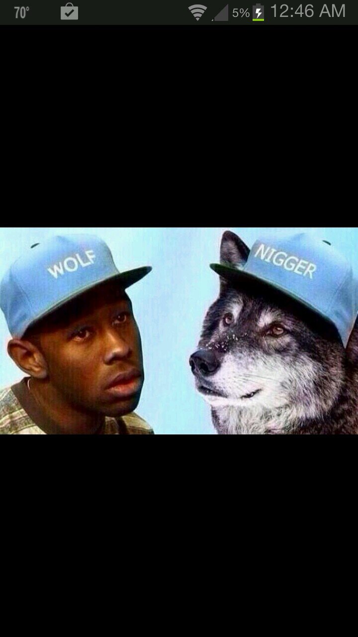 I'm just here for the lol's