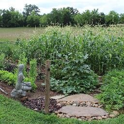 smartplanter's profile picture. Content website blog:  Lawn, Landscape, Garden, Equipment, & More