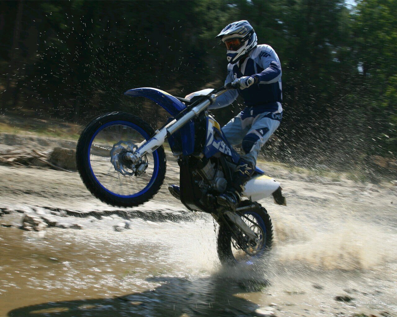 amante del motor, bmx, skate, roller, motocross, enduro, superbikes just love it