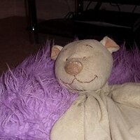 Chrissie Collin (@chissieco) 's Twitter Profile