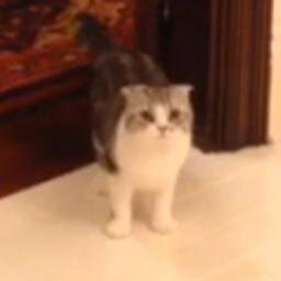 meredithswift21 Profile Picture