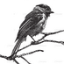 Editori Italiani (@editoriitaliani) Twitter profile photo Editori Italiani (@editoriitaliani) Twitter profile photo