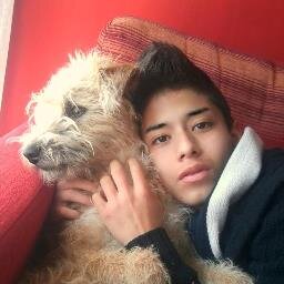 mikipilay's profile picture. 