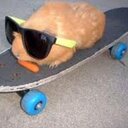 Evie - @Evie98Moore - Twitter