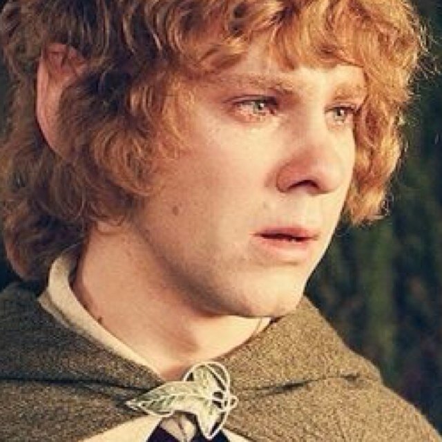 Jailed account of @BrandybuckMerry I'm so in love with my Pippin! He is my sexy little hubby ;)