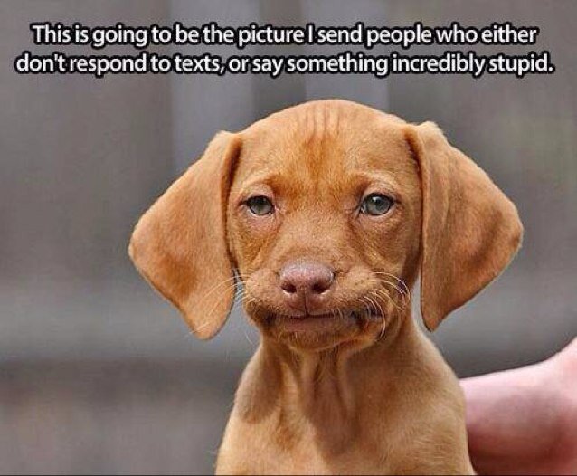 myer1069's profile picture. 