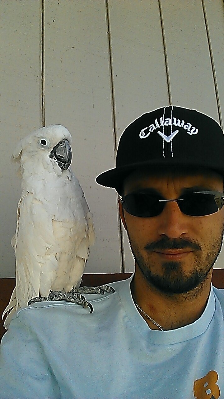 DesignerC_MAK's profile picture. Former Soft Goods Designer for Callaway and Odyssey. Lover of Golf, Relaxing in the Sun, and my Jacuzzi.  All views are my own.