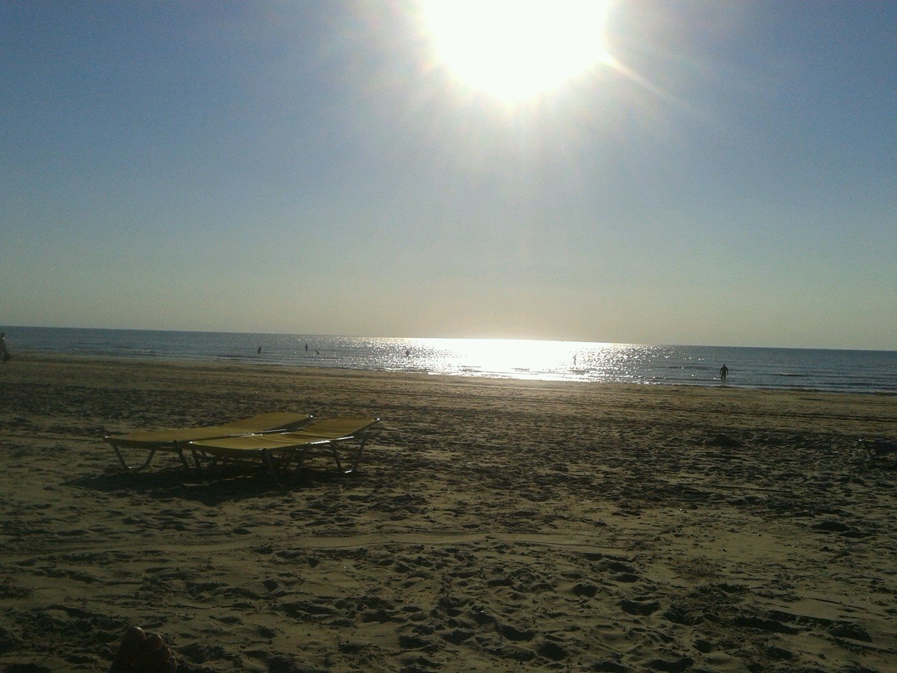 alidavl24's profile picture. 