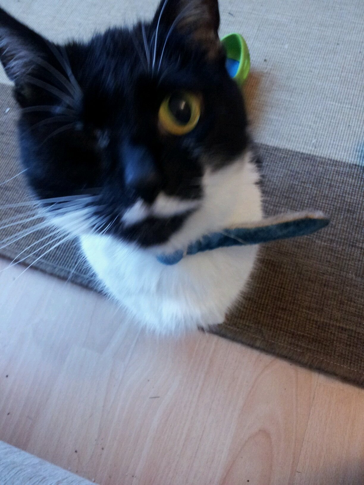 Dawnieluvs's profile picture. I laugh in the face of danger, and then I hide until it goes away. Former Cinema Projectionist, missus to Jon and Mama to Jake and Willow.