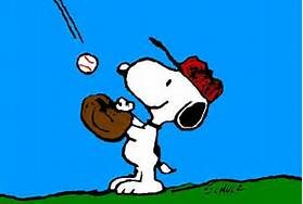 Christian, 8th grade math/algebra teacher, love national league baseball