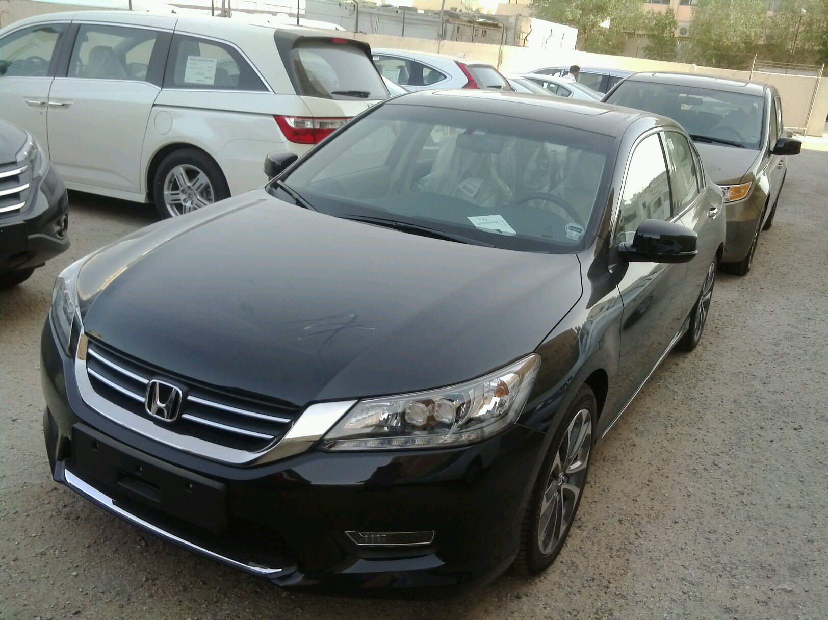 apmlksa's profile picture. 