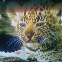 عبدالباقي علي محمد (@0534768047) Twitter