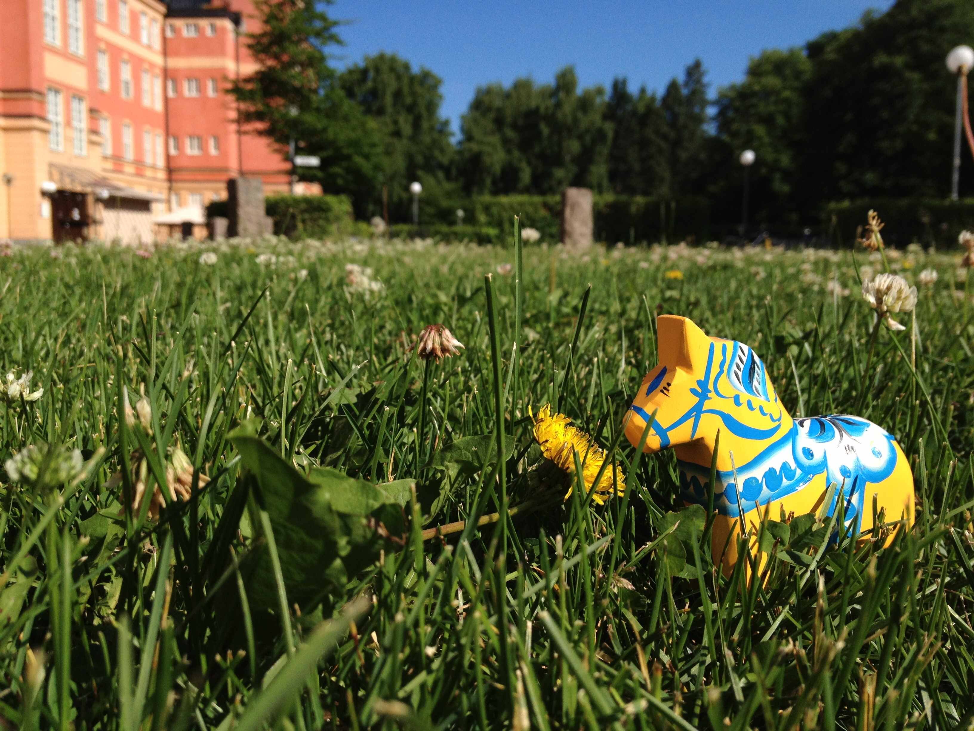 ecoop2014's profile picture. ECOOP 2014, July 28 to August 1, 2014