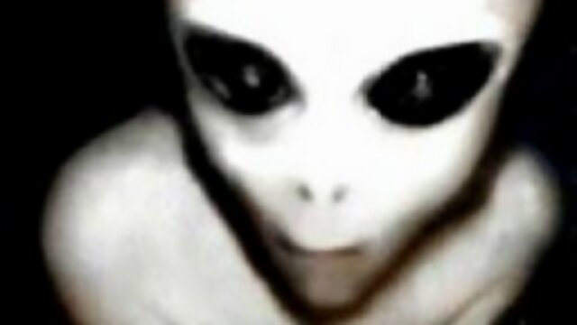 Just a visitor from Zeta Reticuli. Will your leaders tell you why?