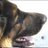 Image de profil de clovisse2000