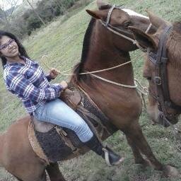 cavalos s2