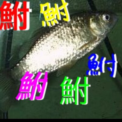 ふなてぃはツイ禁