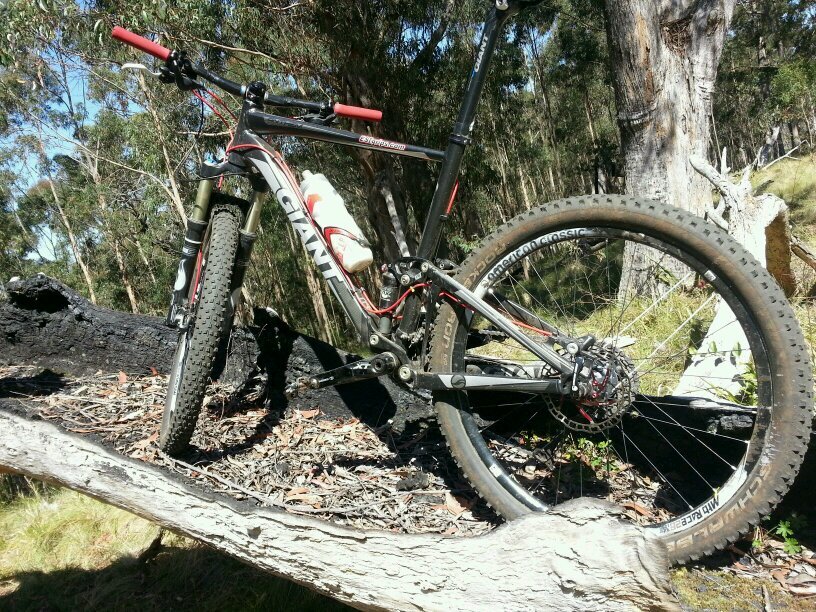 laws_ken's profile picture. 