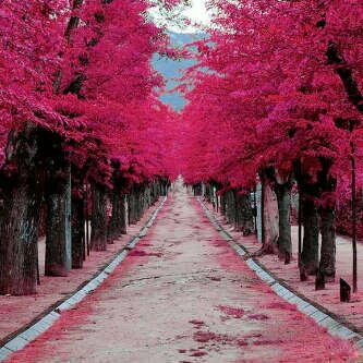 ﻻ أله اﻻ الله ..