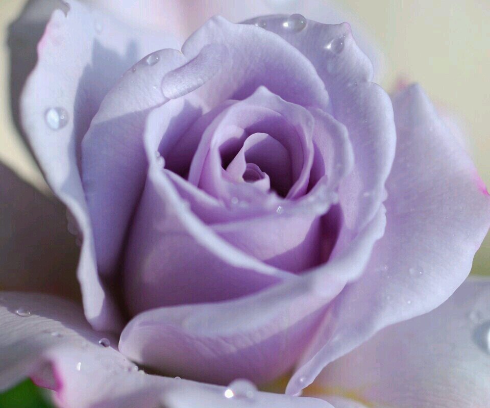 sarai4sierra's profile picture. Directioner,mixer,lovatic &more.. I ship Narry and happiness for the boys!!