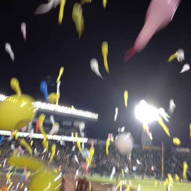 阪神頑張れ / スポーツTV観戦 / 花粉症