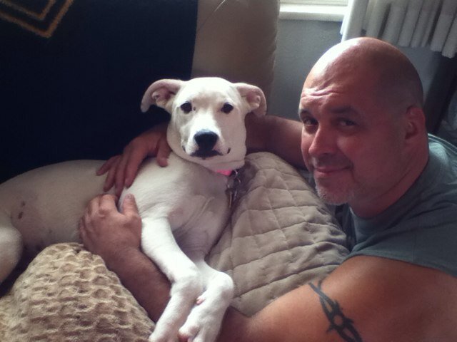 dice2031's profile picture. 