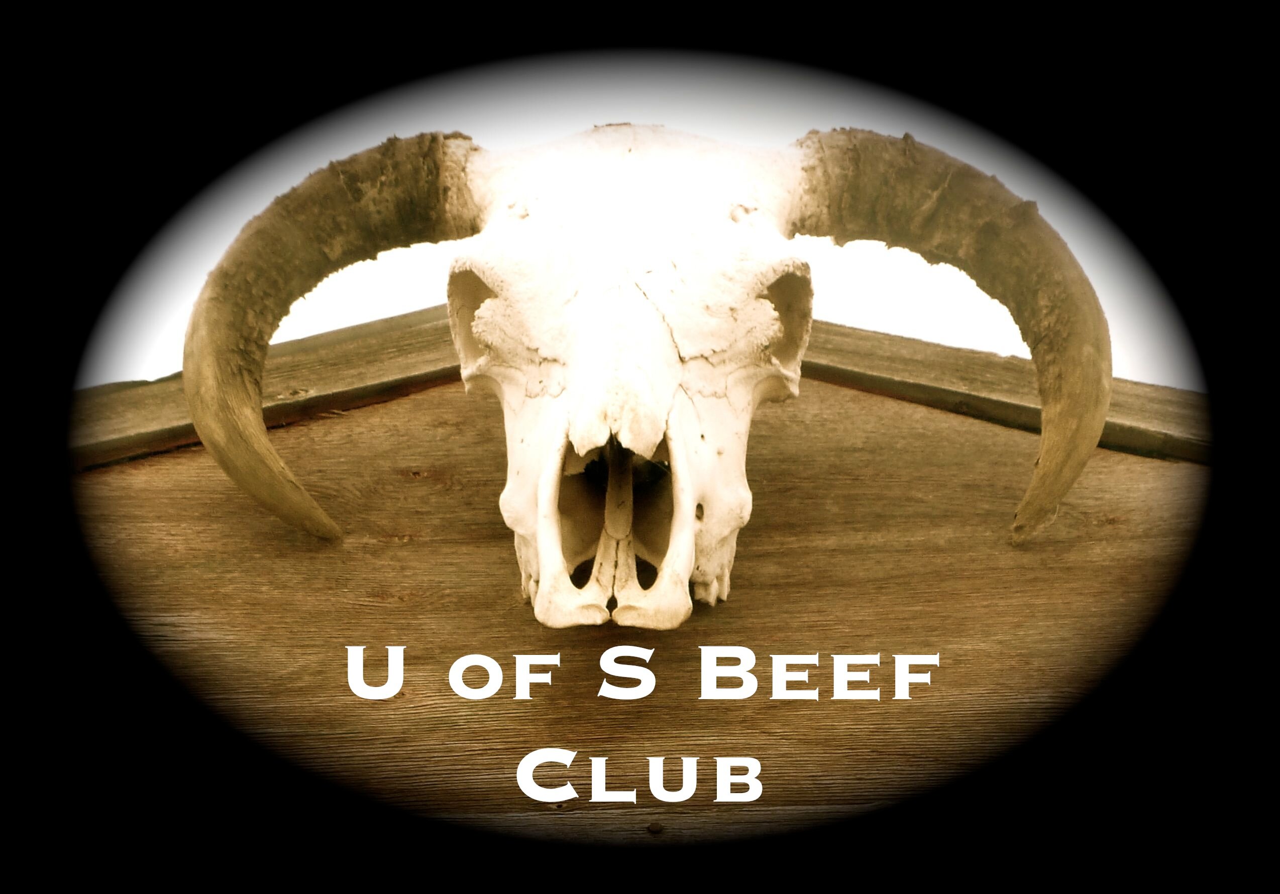 University of Saskatchewan Beef Club-looking for networking opportunities in the Canadian and American Beef Industries. Passionate about the future of beef