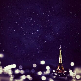 m88737796's profile picture. 