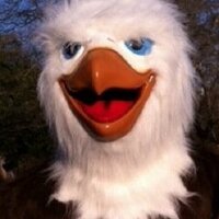 Rosewood Elementary (@rosewoodeagles) 's Twitter Profile
