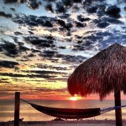 philipterbell's profile picture. 