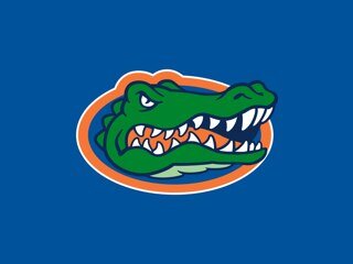 klgators's profile picture. 