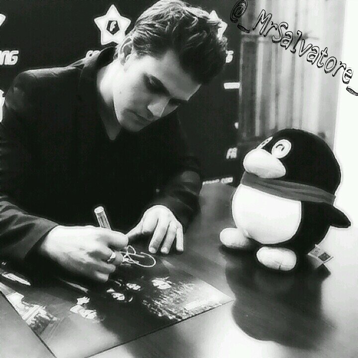 _MrSalvatore_ Profile Picture