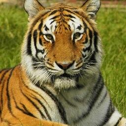 too55's profile picture. 