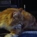 ronto (@1ronto) Twitter profile photo